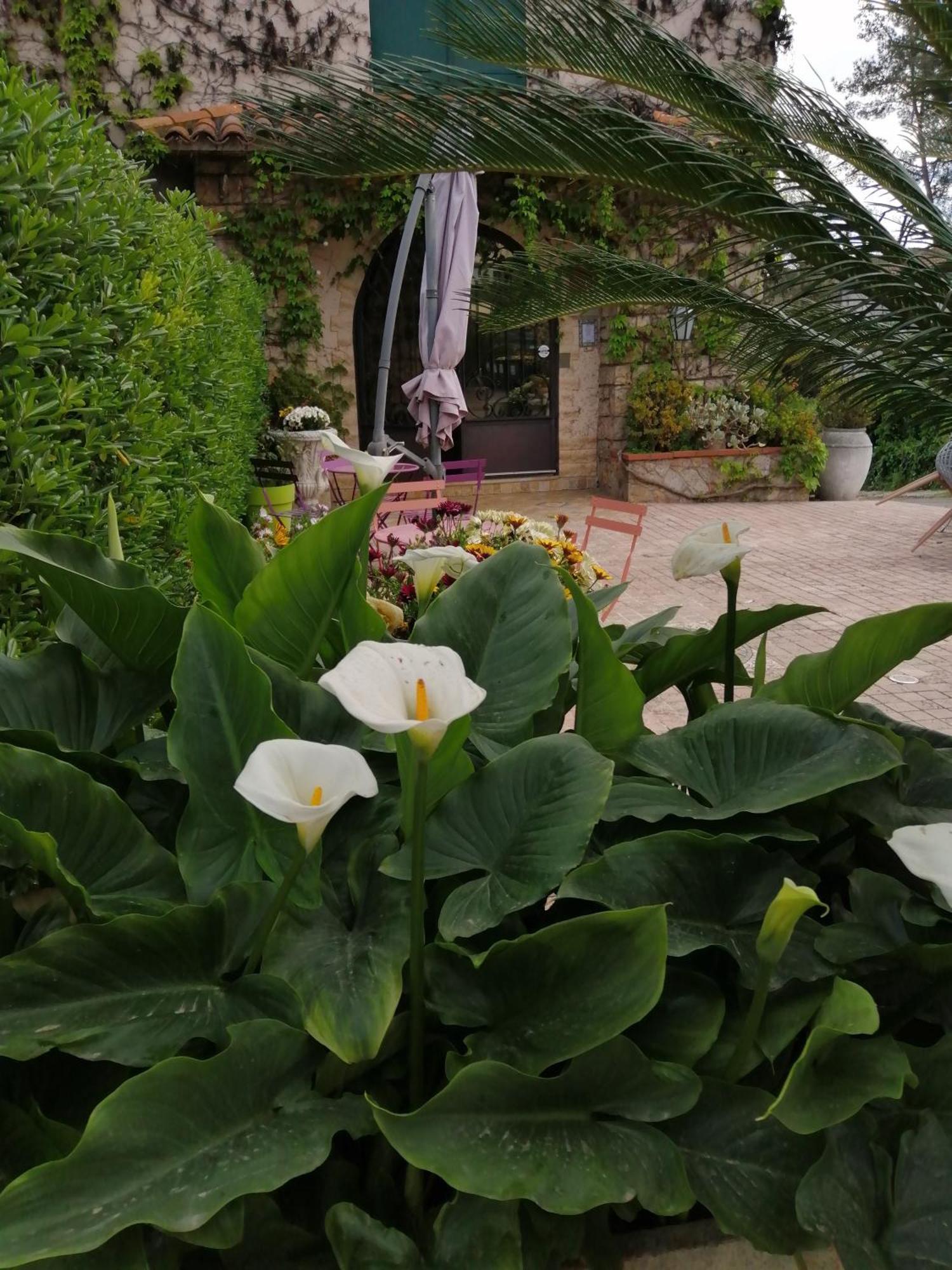 Auberge Les Aromes Grasse Kültér fotó